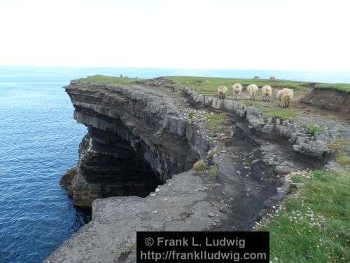 Around Downpatrick Head